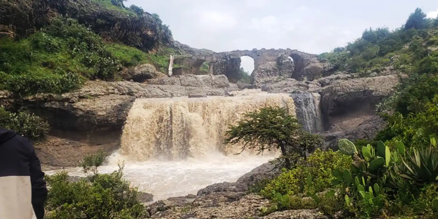 Debre Libanos monastery and Jemma River Gorge with Gelada baboons, Oromia Ethiopia